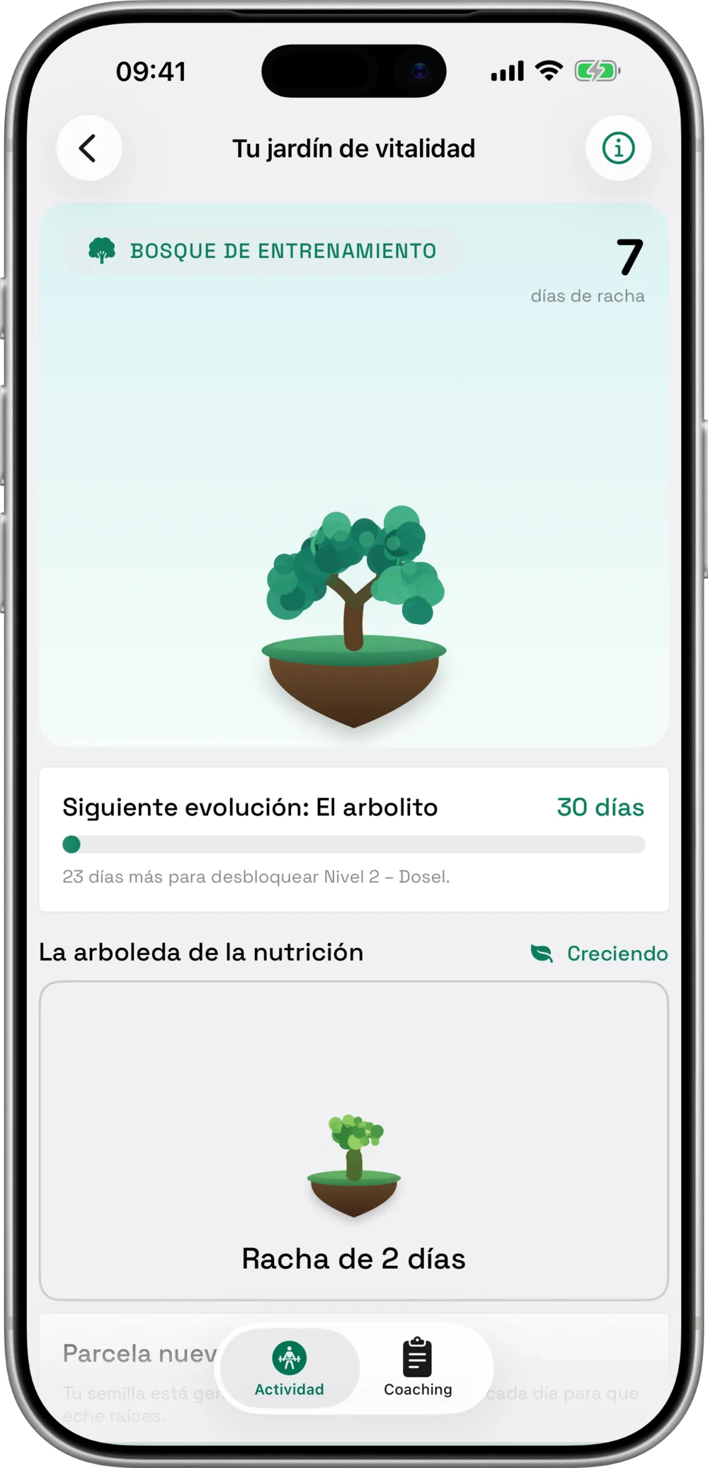 Calendario de rachas